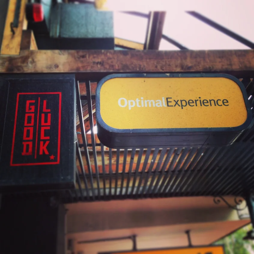 The Optimal Experience office in Wellington